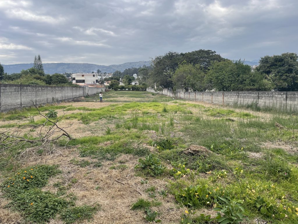 Terreno sin urbanizar y con vegetación antes de la fase de construcción en proyecto terminado Nuvo La Armenia.