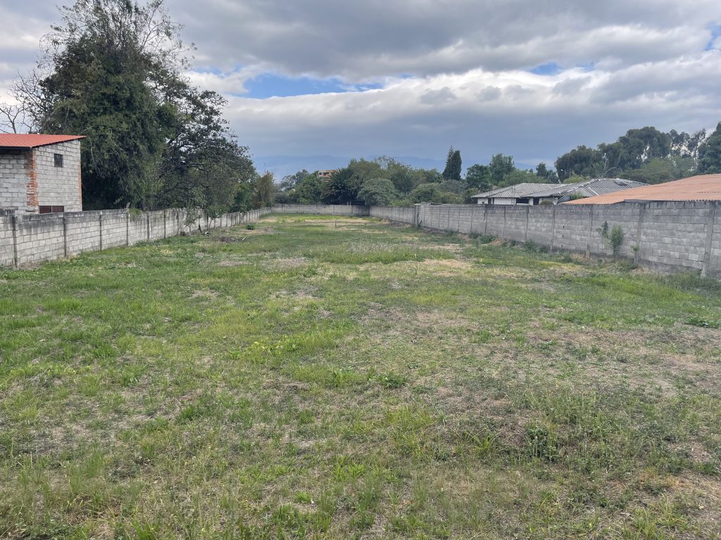 Aplanamiento del terreno para iniciar el proyecto en Nuvo la Armenia