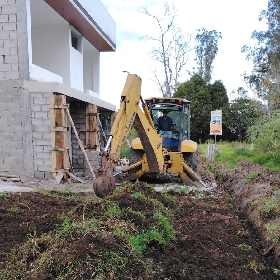 PinosLaSalle2 - copia