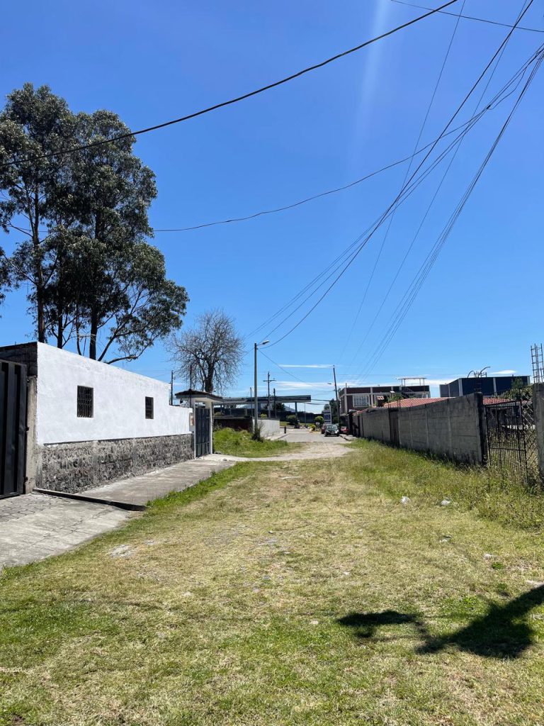 imagen proyecto pinos3 imagen proyecto pinos3