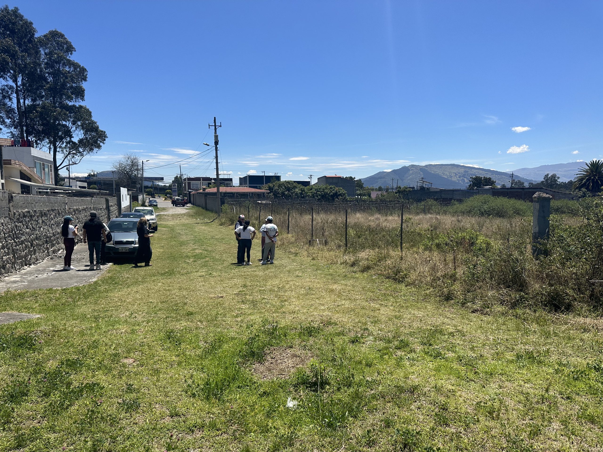 imagen proyecto pinos8