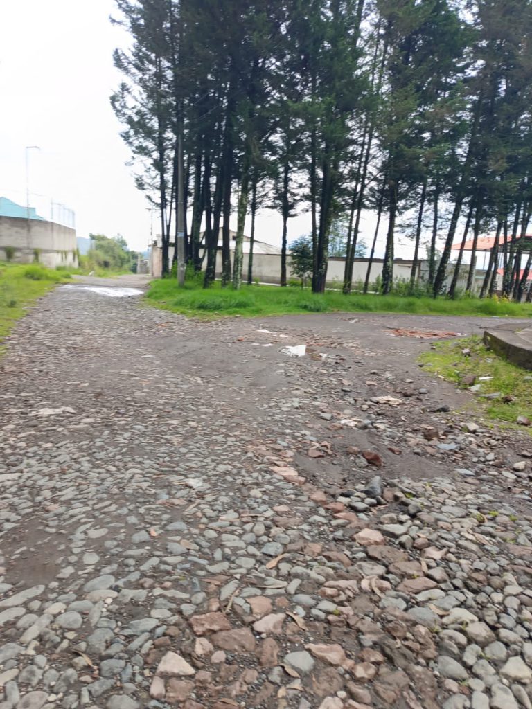 Calle de acceso y entorno boscoso para inversión inicial Balcones plusvalía. Calle de acceso con ripio y entorno boscoso en el proyecto de inversión inicial Balcones plusvalía.