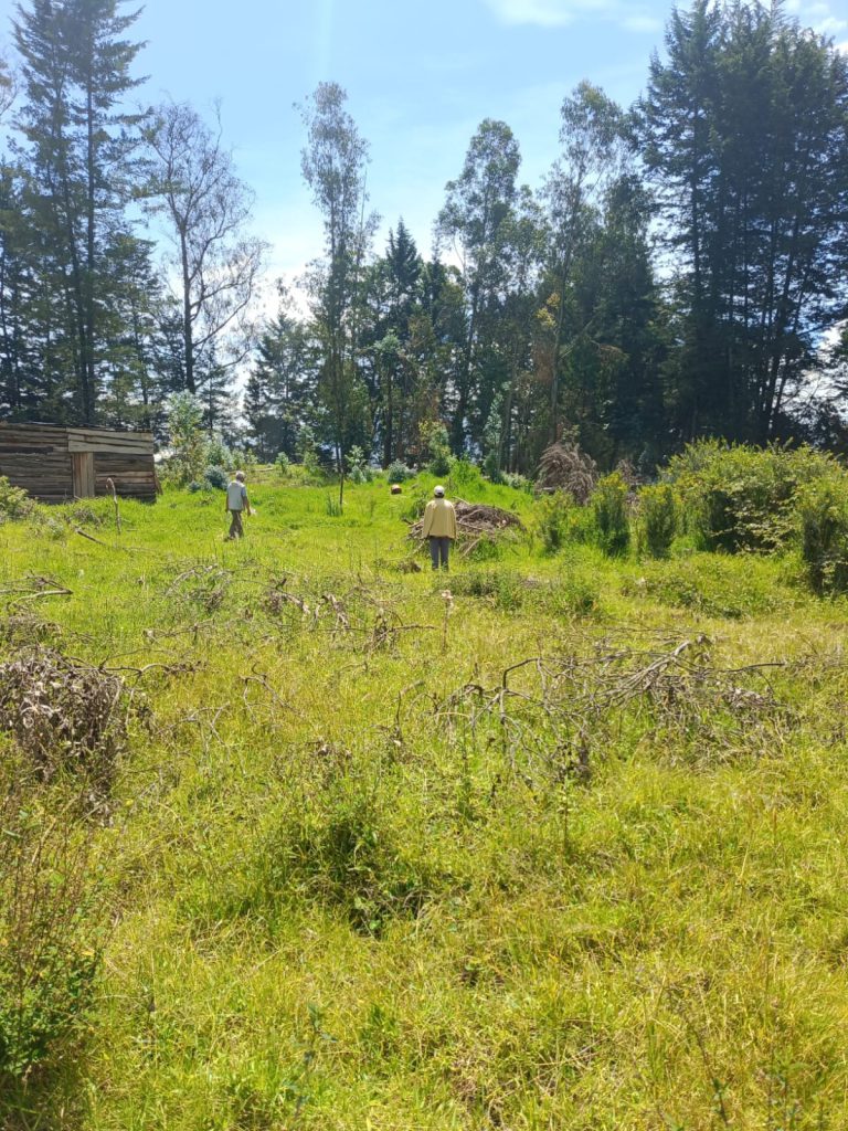 Terreno en estado inicial para inversión inicial Balcones plusvalía. Vista de terreno con pasto natural, evidenciando la etapa inicial para inversión inicial Balcones plusvalía.