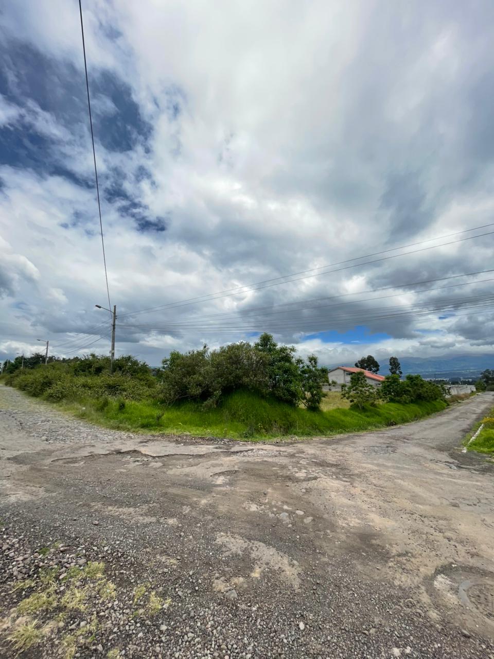 project bosques sallei2