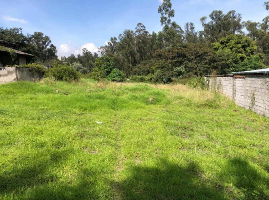 Terreno abierto y sin urbanizar, ideal para lotización en el proyecto terminado Jardines Ushimana.
