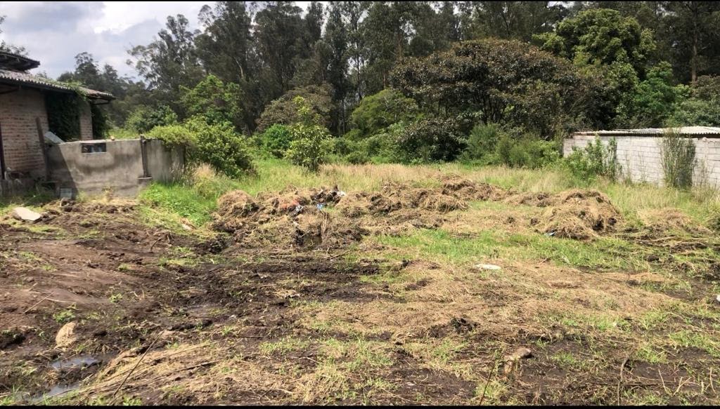 Terreno arado y limpio, listo para el desarrollo del proyecto terminado Jardines Ushimana.