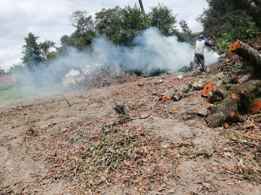 Trabajos de limpieza y desbroce del terreno en la fase inicial del proyecto terminado Jardines Ushimana.