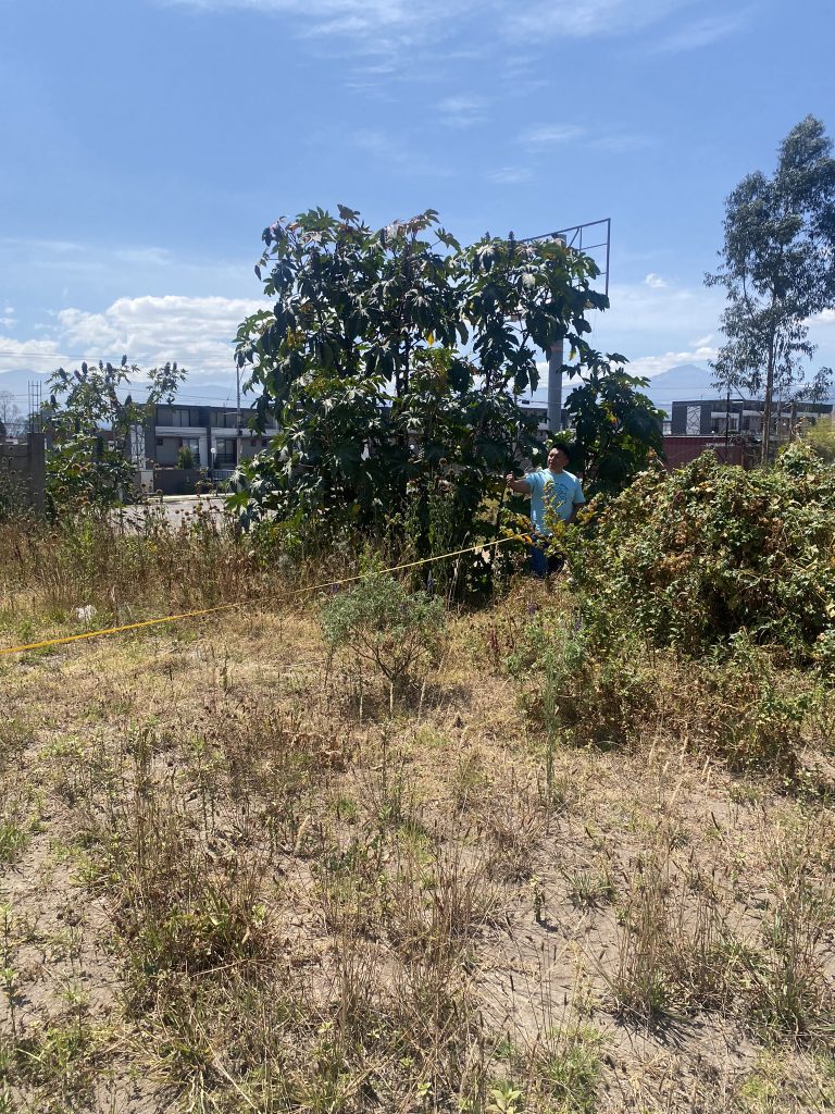 Entorno con árboles y vegetación, realzando la ubicación de inversión en terrenos Miranda proyección.