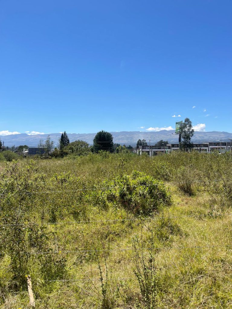 Terreno con pasto después de la limpieza, listo para inversión en terrenos Miranda proyección.