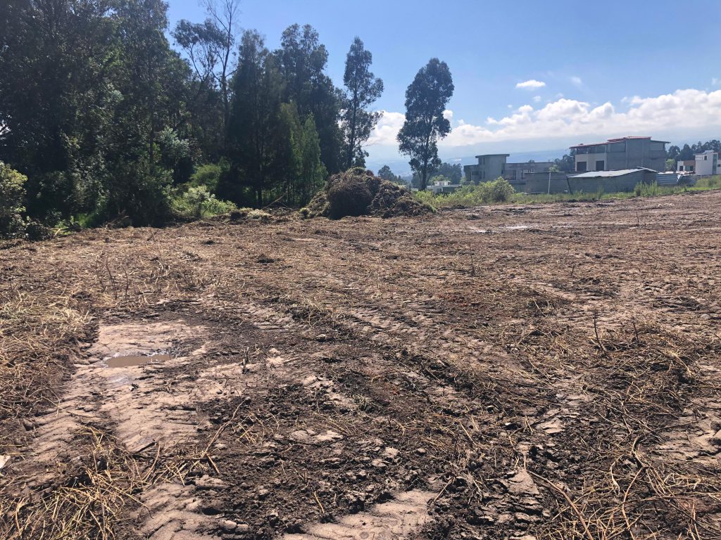 Terreno limpio y preparado con vista al entorno natural para inversión en Conocoto La Salle.