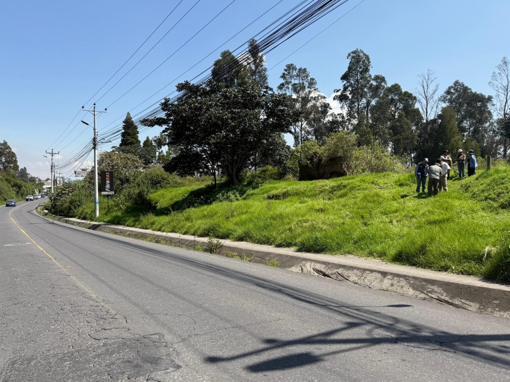Terreno natural con pasto y árboles, listo para la lotización en terrenos inversión Conocoto La Salle.