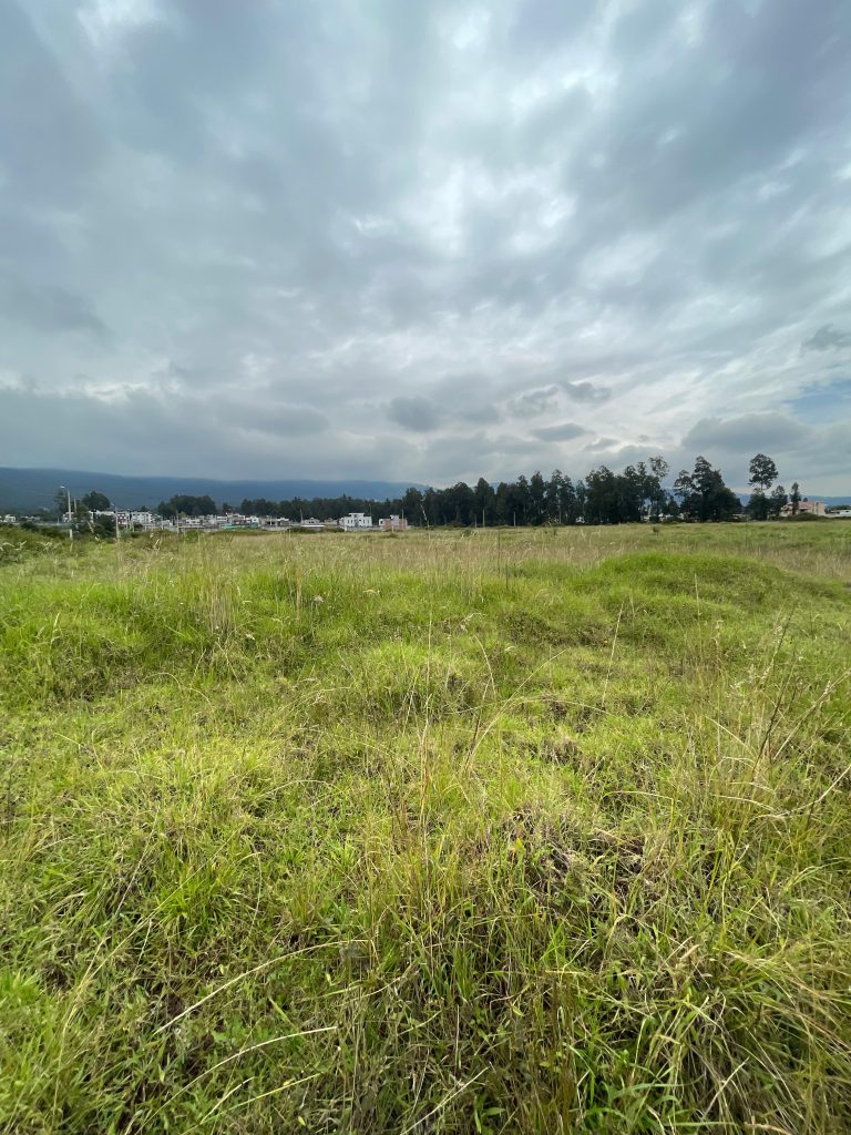 Terreno con pasto alto cerca de construcciones residenciales, ideal para inversión terrenos Conocoto crecimiento.